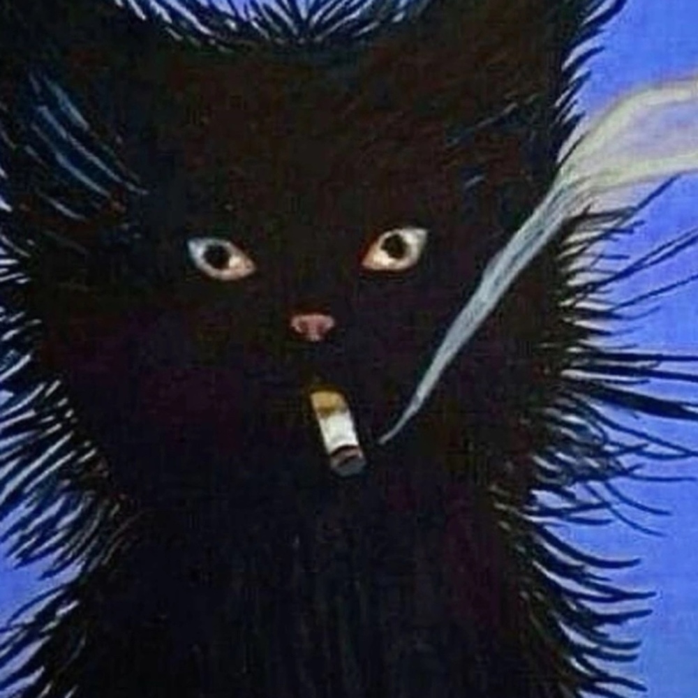 Meet your Posher, Kyle